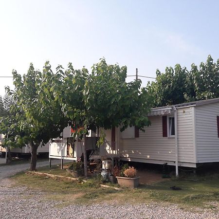 Camping Vila Village Sant Feliu de Buixalleu Exterior foto