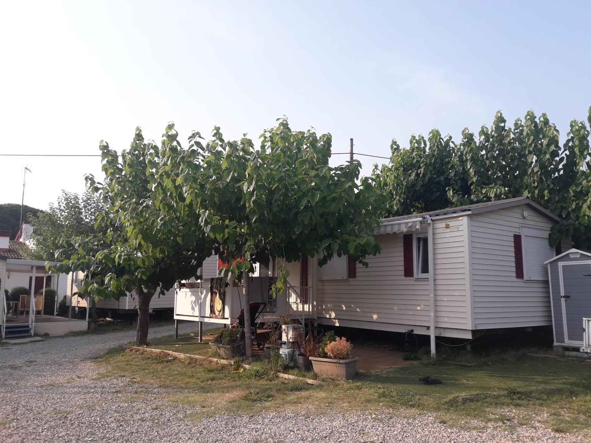 Camping Vila Village Sant Feliu de Buixalleu Exterior foto